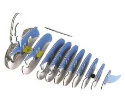 Eugy 066 Blue Whale Card 3D Puzzle