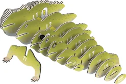 Eugy 004 Tuatara Card 3D Puzzle