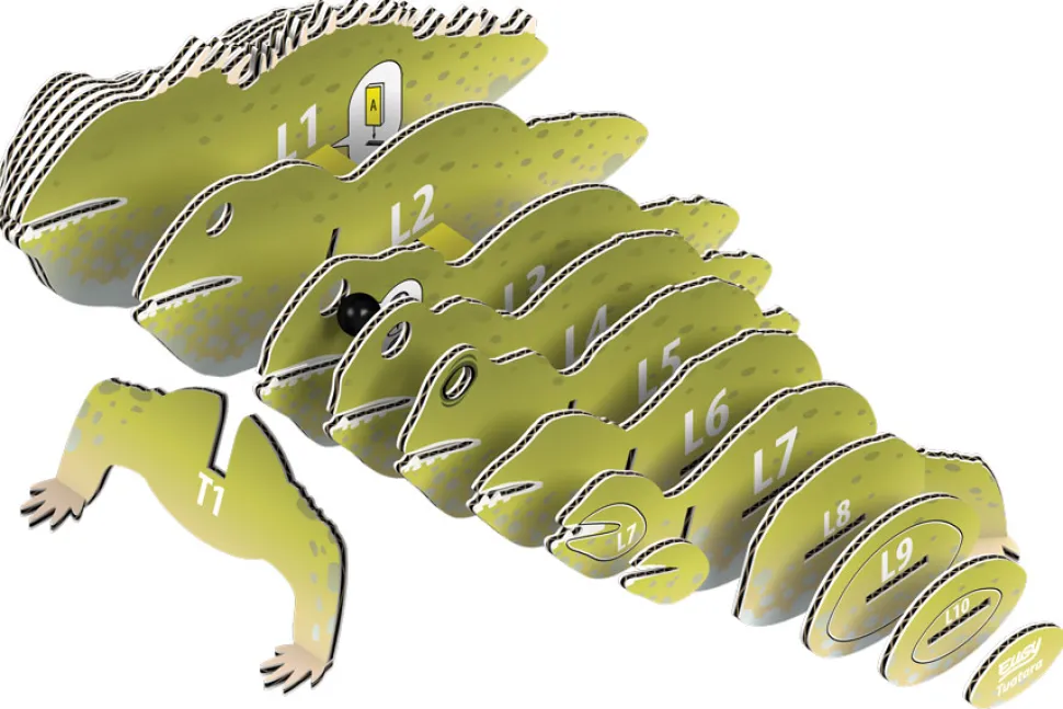 Eugy 004 Tuatara Card 3D Puzzle