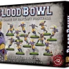Games Workshop Blood Bowl - Team - Elven Union Team - The Elfheim Eagles