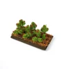 Gaugemaster Tomato Plants (6)