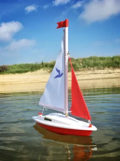 Gunther Captain Hook Sailing Boat