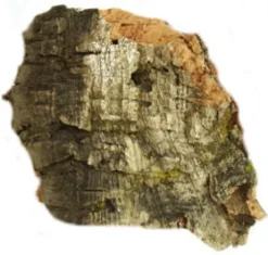 Javis Cork Bark Medium