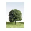 K+M Model Trees 50mm Single Deciduous Green Model Tree