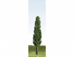K+M Model Trees 50mm Single Poplar Model Tree