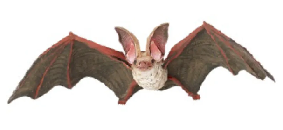 Papo Toys Bat