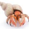 Papo Toys Hermit Crab