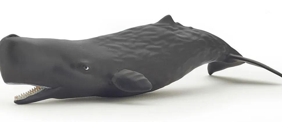 Papo Toys Sperm Whale Calf
