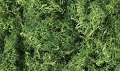 Woodland Scenics Medium Green Lichen